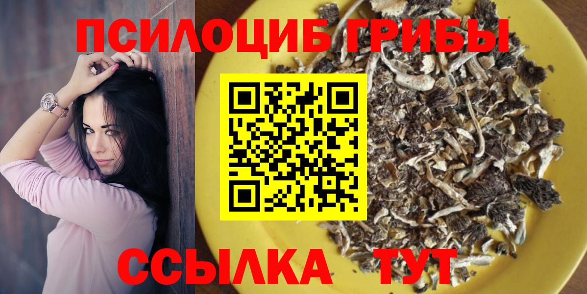 Галлюциногенные грибы GOLDEN TEACHER Солнечногорск