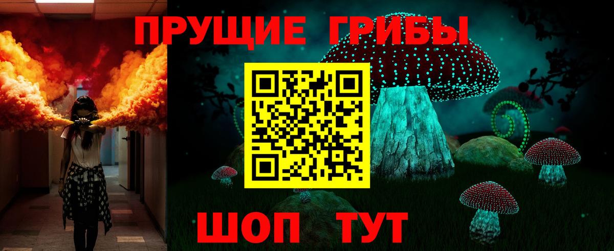 Галлюциногенные грибы GOLDEN TEACHER  Вход с VPN  Солнечногорск 